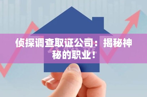 上栗侦探调查取证公司：揭秘神秘的职业！