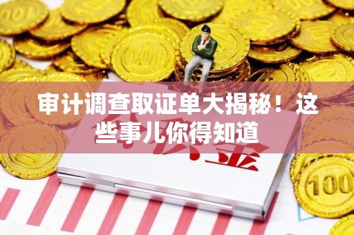 上栗审计调查取证单大揭秘！这些事儿你得知道