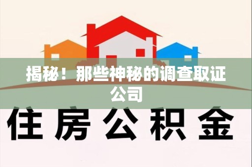 上栗揭秘！那些神秘的调查取证公司