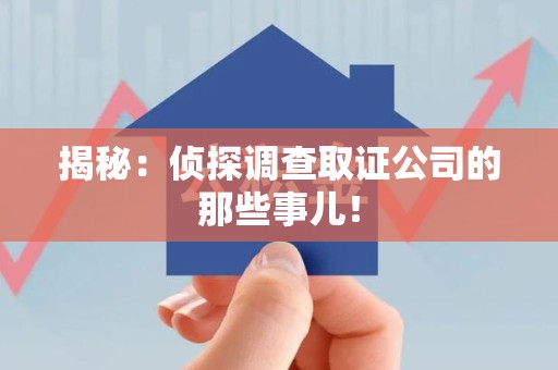 上栗揭秘：侦探调查取证公司的那些事儿！