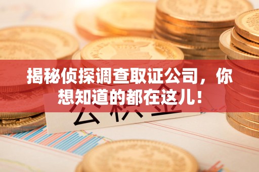 上栗揭秘侦探调查取证公司，你想知道的都在这儿！