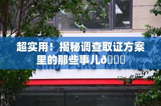 上栗超实用！揭秘调查取证方案里的那些事儿😎