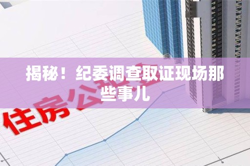上栗揭秘！纪委调查取证现场那些事儿