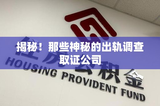 上栗揭秘！那些神秘的出轨调查取证公司