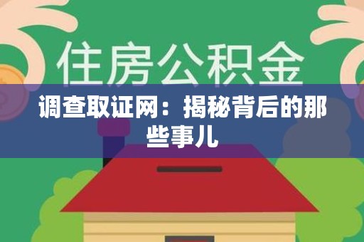 上栗调查取证网：揭秘背后的那些事儿