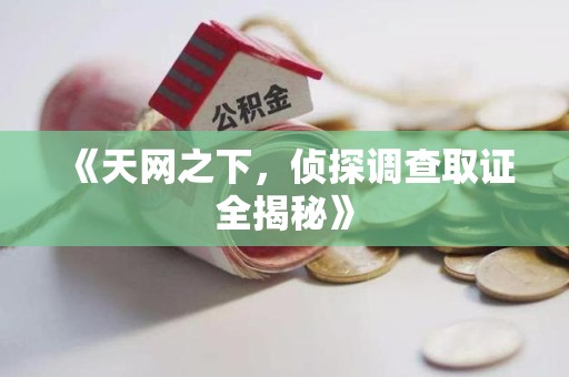上栗《天网之下，侦探调查取证全揭秘》