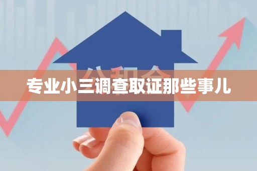上栗专业小三调查取证那些事儿