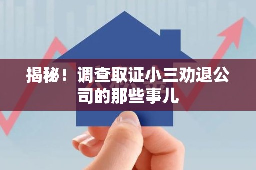 上栗揭秘！调查取证小三劝退公司的那些事儿