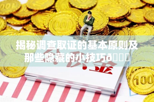 上栗揭秘调查取证的基本原则及那些隐藏的小技巧😎