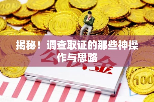 上栗揭秘！调查取证的那些神操作与思路