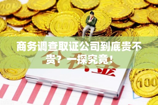 上栗商务调查取证公司到底贵不贵？一探究竟！