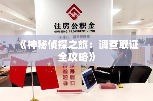 上栗《神秘侦探之旅：调查取证全攻略》