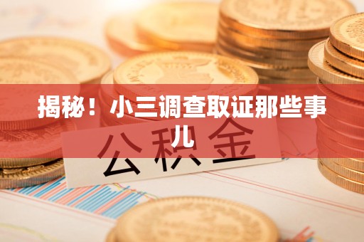 上栗揭秘！小三调查取证那些事儿