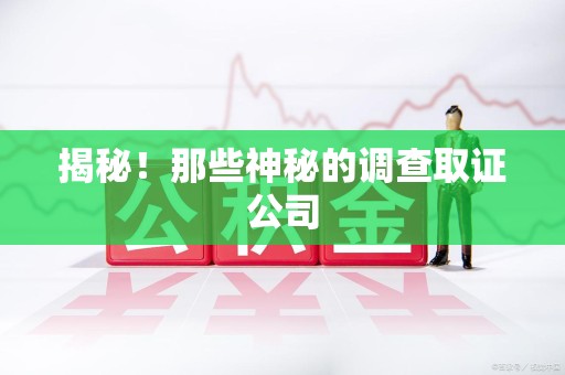 上栗揭秘！那些神秘的调查取证公司