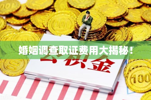 上栗婚姻调查取证费用大揭秘！