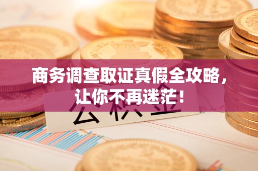 上栗商务调查取证真假全攻略，让你不再迷茫！