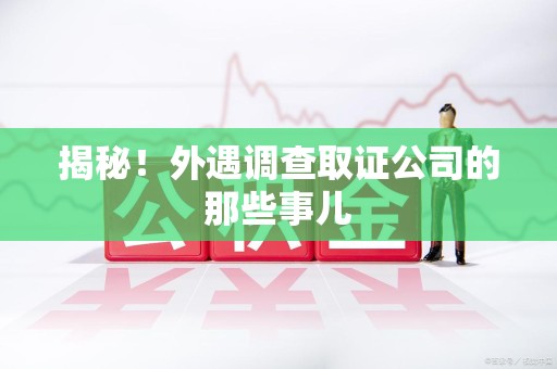 上栗揭秘！外遇调查取证公司的那些事儿