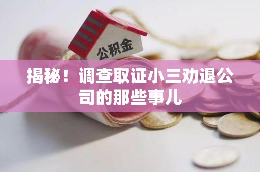 上栗揭秘！调查取证小三劝退公司的那些事儿